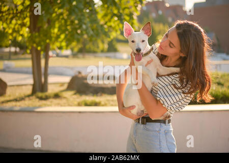 Hund Parson Russell Terrier Rasse spielt im Green Park mit seinem Besitzer. Sommer oder Anfang Herbst. Natur. Pet Care- und Trainingskonzept. Stockfoto