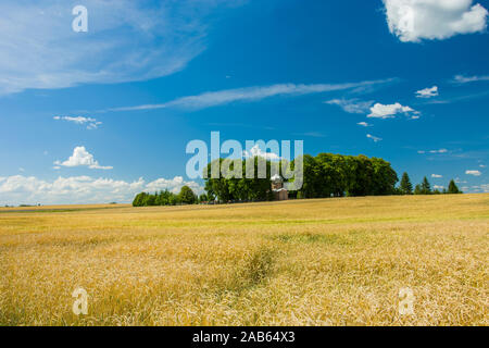 Feld Struktur, orthodoxe Kapelle und Friedhof in den Hain - Blick auf einem sonnigen Sommertag Stockfoto