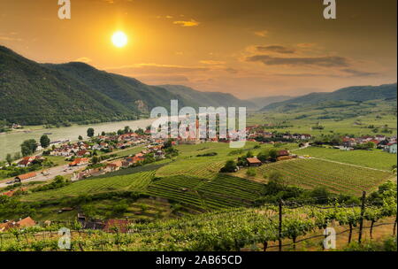 Malerische Aussicht auf Wachau mit der Donau und Stadt Weissenkirchen auf einen Sonnenuntergang. Niederösterreich. Stockfoto