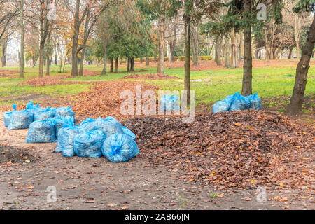 Unter Bäumen im Stadtpark, in der Nähe von Pile Laub liegt vielen blauen Plastiktüten mit Müll. Stockfoto