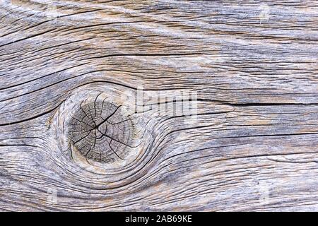 Hintergrund grau verwittertes Holz mit einem Knoten Stockfoto
