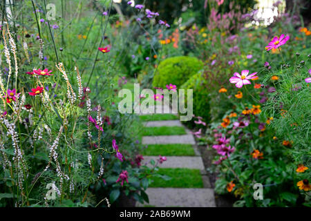 Persicaria amplexicaulis Alba, Cosmos, Rosa, Weiß, Lila, Blüte, Blumen, Blüte, Mix, Gemischt, Kombination, Steintreppen, Pfad, Weg, Steinplatte, Fliesen, le Stockfoto