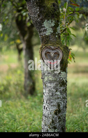 Wunderschöne natürliche Herz mit lächelndes Gesicht in alte Baumrinde mit Moos und Blättern in grüner Natur Stockfoto
