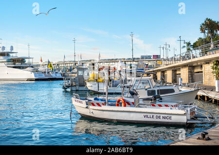 Eine Möwe fliegt über die Boote am Alten Hafen in der mediterranen Stadt Nizza Frankreich an der Französischen Riviera angedockt. Stockfoto