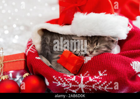 Weihnachtsgeschenke Konzept. Weihnachten Katze tragen Klausenmütze holding Geschenkbox auf Plaid unter Weihnachtsbaum schlafen. Adorable kleine Tabby Stockfoto