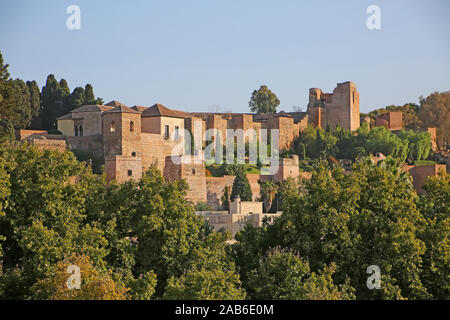 Schloss Gibralfaro, die auf dem Berg liegt, von Wald umgeben. Die Burg mit Blick auf Malaga und das Mittelmeer, in Andalusien, Sout Stockfoto