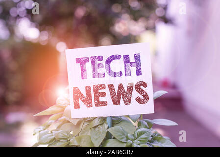 Wort schreiben Text Tech News. Business foto Präsentation neu erhaltenen oder bemerkenswerte Informationen über Technik Plain leeren Papier zu einer Stock befestigt Stockfoto