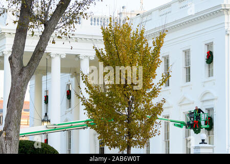 Washington, District of Columbia, USA. 25 Nov, 2019. Ein Arbeitnehmer hängt Weihnachten Kränze auf dem Weißen Haus in Washington, DC am Montag, 25. November 2019. Credit: Erin Scott/CNP/ZUMA Draht/Alamy leben Nachrichten Stockfoto