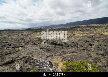 Lavafelder im Volcanoes National Park Stockfoto