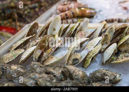 Frische Meeresfrüchte auf der Theke in der exotischen Markt in Thailand verkauft. Stockfoto