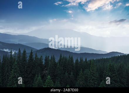 Berge Landschaft nach dem Regen. Karpaten Ukraine Stockfoto
