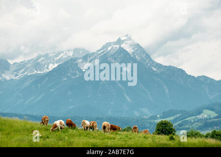 Warscheneck Stockfoto