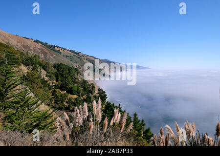 California State Route 1, Highway 1, Küstenstraße entlang des Pazifischen Ozeans, Kalifornien, USA Stockfoto