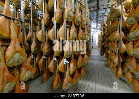 San Daniele Schinken Vorbereitung und Reifung, San Daniele del Friuli, Udine, Friaul-Julisch Venetien, Italien, Europa Stockfoto