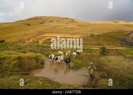 Landschaft auf der RN 7 in der Nähe von Ambalavao, Barbados, ihorombe Region, Südliche Madagaskar, Afrika Stockfoto