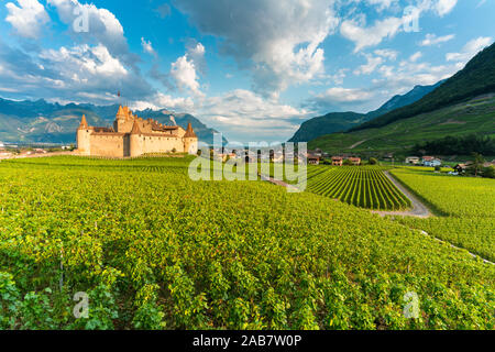 Schloss von Aigle in sanften Hügeln von Weinbergen, Kanton Waadt, Schweiz, Europa Stockfoto