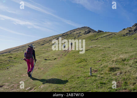 Christliche Pilger auf dem Camino de Santiago (St. James' Weg) Route in Frankreich auf dem Weg nach Spanien, Frankreich, Europa Stockfoto