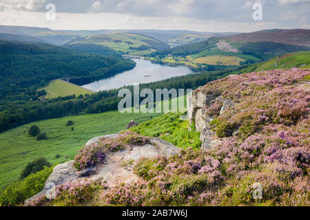 Sommer Heather in voller Blüte entlang Bamford Kante über die Ladybower Reservoir in den Peak District, Derbyshire, England, Vereinigtes Königreich, Europa Stockfoto