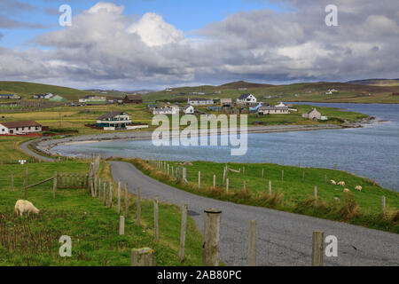 Papil, kurvenreiche Küstenstraße und Dorf, Schafe, West Burra Insel, Shetlandinseln, Schottland, Großbritannien, Europa Stockfoto