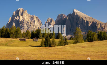 Seiser Alm, Seiser Alm, Südtirol, Dolomiten, Italien, Europa Stockfoto