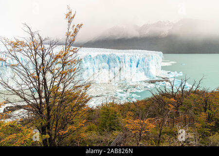 Perito Moreno mit Bäumen, Lago Argentino und Berge im Herbst, Los Glaciares Nationalpark, UNESCO, Provinz Santa Cruz, Argentinien, Südamerika Stockfoto