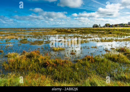 Morston Salzwiesen von der Blakeney zu Morston Küstenweg, Norfolk, England, Vereinigtes Königreich, Europa Stockfoto