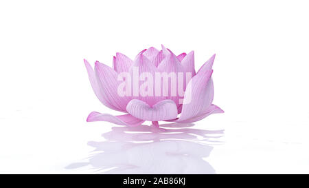 3D-gerenderte spa Illustration - Lotus Flower Stockfoto