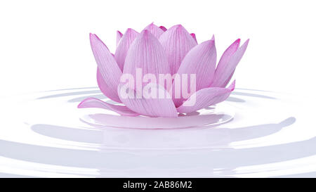 3D-gerenderte spa Illustration - Lotus Flower Stockfoto