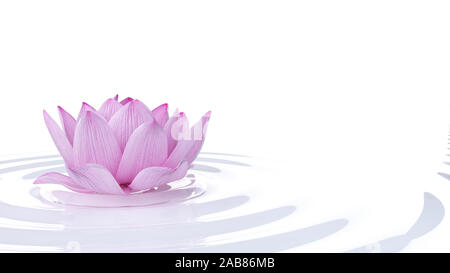 3D-gerenderte spa Illustration - Lotus Flower Stockfoto