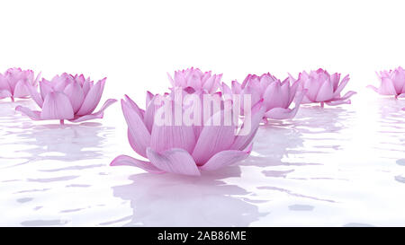 3D-gerenderte spa Illustration - Lotus Blumen Stockfoto