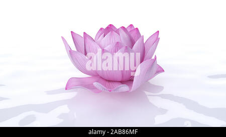 3D-gerenderte spa Illustration - Lotus Flower Stockfoto