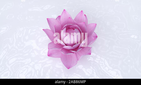 3D-gerenderte spa Illustration - Lotus Flower Stockfoto