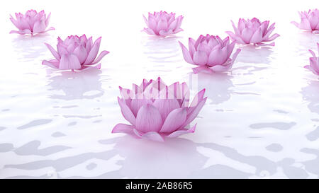 3D-gerenderte spa Illustration - Lotus Blumen Stockfoto