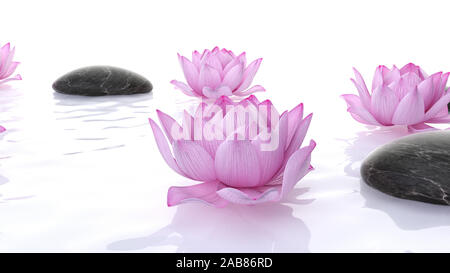 3D-gerenderte spa Illustration - Lotus Blumen und Steine Stockfoto