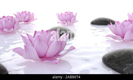 3D-gerenderte spa Illustration - Lotus Blumen und Steine Stockfoto