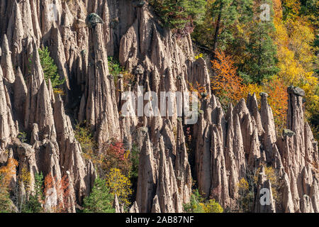 Detailliertes Bild des berühmten Erdpyramiden in der Nähe von Ritten in Südtirol an einem sonnigen Herbsttag mit bunten Laub im Hintergrund Stockfoto