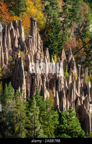 Detailliertes Bild des berühmten Erdpyramiden in der Nähe von Ritten in Südtirol an einem sonnigen Herbsttag mit bunten Laub im Hintergrund Stockfoto