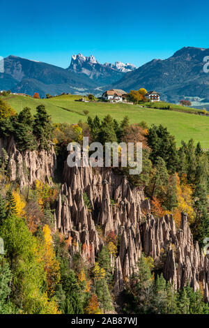 Detailliertes Bild des berühmten Erdpyramiden in der Nähe von Ritten in Südtirol an einem sonnigen Herbsttag mit bunten Laub im Hintergrund Stockfoto