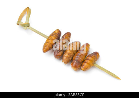 Knusprige gesalzen Seidenraupen in der Nähe auf einem Stick für einen Snack auf weißem Hintergrund Stockfoto