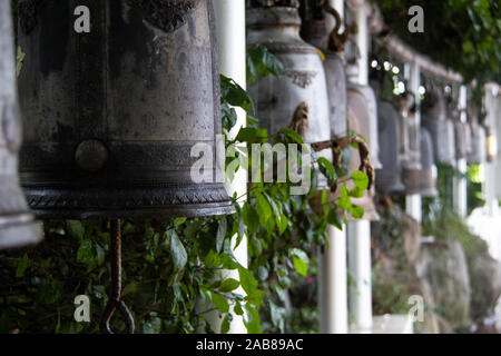 Heiligen Glocken Zwischen grünen Pflanzen in Bangkok, Thailand, Südostasien. Stockfoto