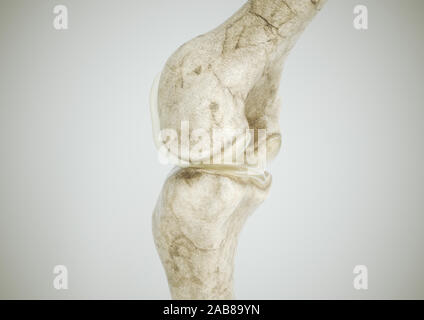 Gesunde Knie ohne Osteoarthritis - Position 3 - Seitliche - 3D-Rendering Stockfoto