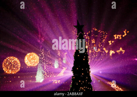 Berlin, Deutschland. 22 Nov, 2019. 22.11.2019, Berlin: ein Stern auf dem Weihnachtsbaum im Tierpark Berlin Credit: Georg Wenzel/dpa-Zentralbild/ZB/dpa/Alamy leben Nachrichten Stockfoto
