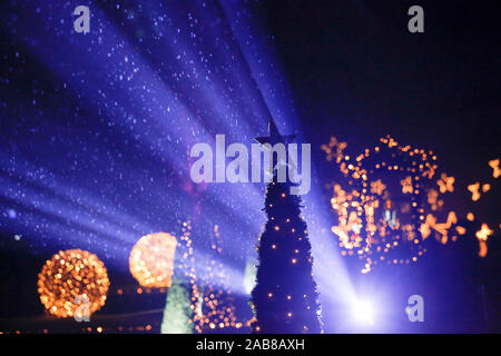 Berlin, Deutschland. 22 Nov, 2019. 22.11.2019, Berlin: ein Stern auf dem Weihnachtsbaum im Tierpark Berlin Credit: Georg Wenzel/dpa-Zentralbild/ZB/dpa/Alamy leben Nachrichten Stockfoto
