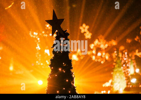 Berlin, Deutschland. 22 Nov, 2019. 22.11.2019, Berlin: ein Stern auf dem Weihnachtsbaum im Tierpark Berlin Credit: Georg Wenzel/dpa-Zentralbild/ZB/dpa/Alamy leben Nachrichten Stockfoto
