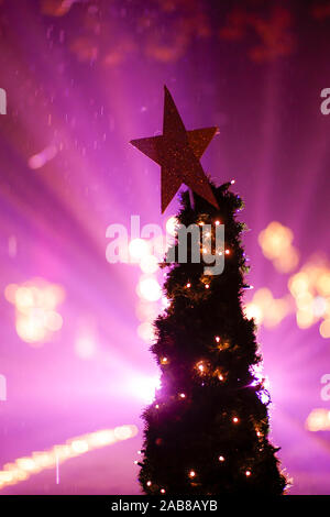 Berlin, Deutschland. 22 Nov, 2019. 22.11.2019, Berlin: ein Stern auf dem Weihnachtsbaum im Tierpark Berlin Credit: Georg Wenzel/dpa-Zentralbild/ZB/dpa/Alamy leben Nachrichten Stockfoto