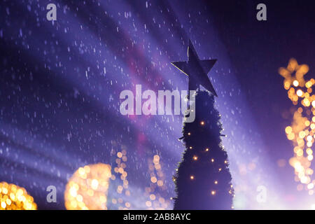 Berlin, Deutschland. 22 Nov, 2019. 22.11.2019, Berlin: ein Stern auf dem Weihnachtsbaum im Tierpark Berlin Credit: Georg Wenzel/dpa-Zentralbild/ZB/dpa/Alamy leben Nachrichten Stockfoto