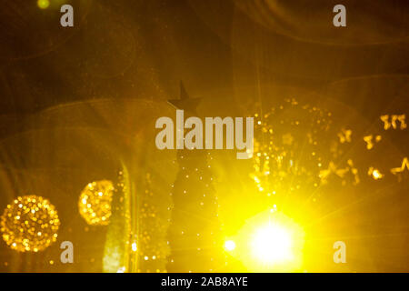 Berlin, Deutschland. 22 Nov, 2019. 22.11.2019, Berlin: ein Stern auf dem Weihnachtsbaum im Tierpark Berlin Credit: Georg Wenzel/dpa-Zentralbild/ZB/dpa/Alamy leben Nachrichten Stockfoto