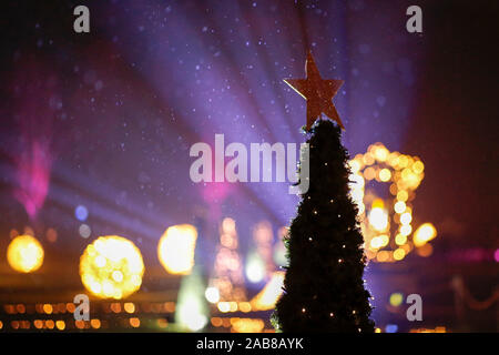 Berlin, Deutschland. 22 Nov, 2019. 22.11.2019, Berlin: ein Stern auf dem Weihnachtsbaum im Tierpark Berlin Credit: Georg Wenzel/dpa-Zentralbild/ZB/dpa/Alamy leben Nachrichten Stockfoto