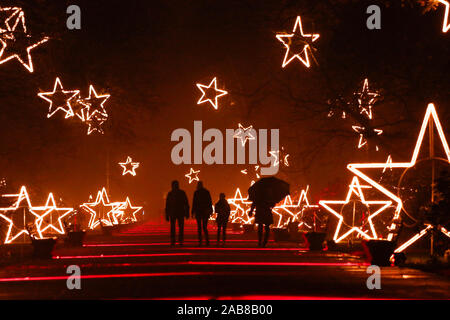 Berlin, Deutschland. 22 Nov, 2019. 22.11.2019, Berlin: Besucher im Tierpark Berlin in weihnachtliche Stimmung Quelle: Georg Wenzel/dpa-Zentralbild/ZB/dpa/Alamy leben Nachrichten Stockfoto