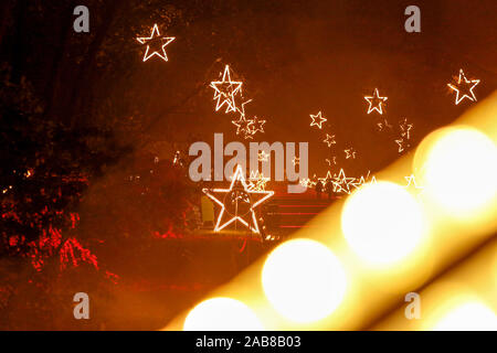 Berlin, Deutschland. 22 Nov, 2019. 22.11.2019, Berlin: Besucher im Tierpark Berlin in weihnachtliche Stimmung Quelle: Georg Wenzel/dpa-Zentralbild/ZB/dpa/Alamy leben Nachrichten Stockfoto